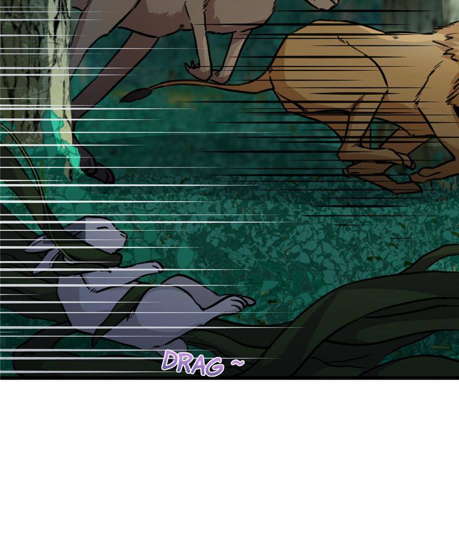 76410313 900 1056 97974