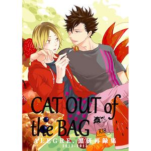 Haikyuu!! - CAT OUT of the BAG (Doujinshi)